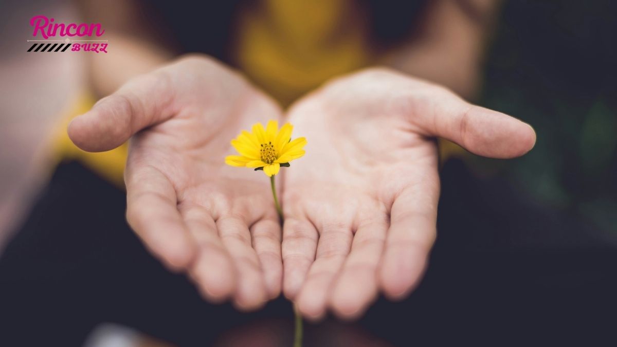 Mentalidad positiva: cómo transformar tu vida paso a paso